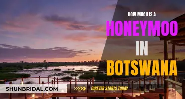 Honeymoon in Botswana: Costs and Luxury Experiences