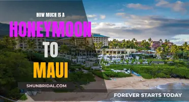 Planning a Maui Honeymoon: Costs and Tips