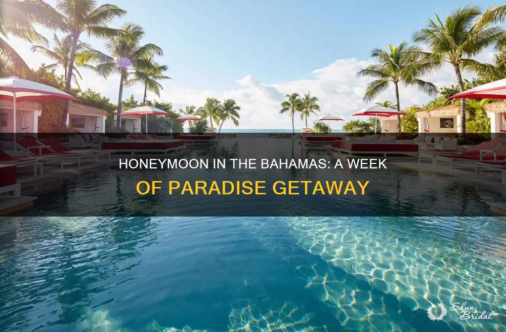 how much is a honeymoon week trip to bahamas