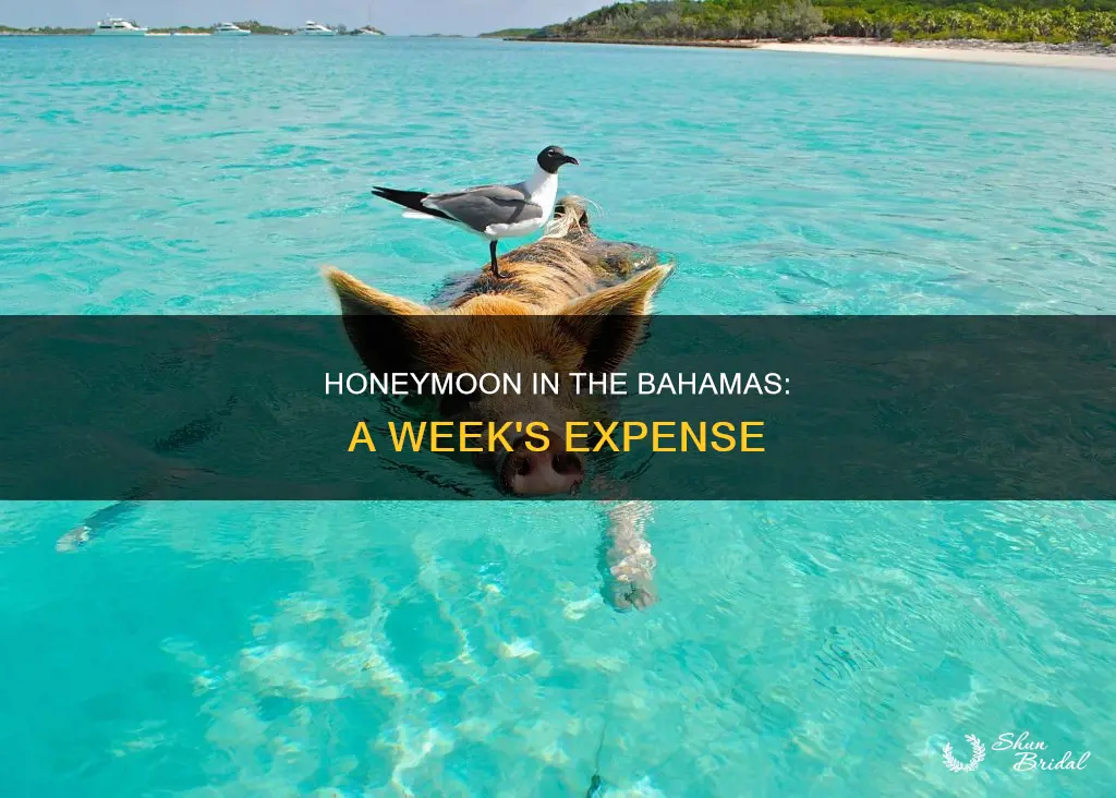how much is a honeymoon week trip to bahamas