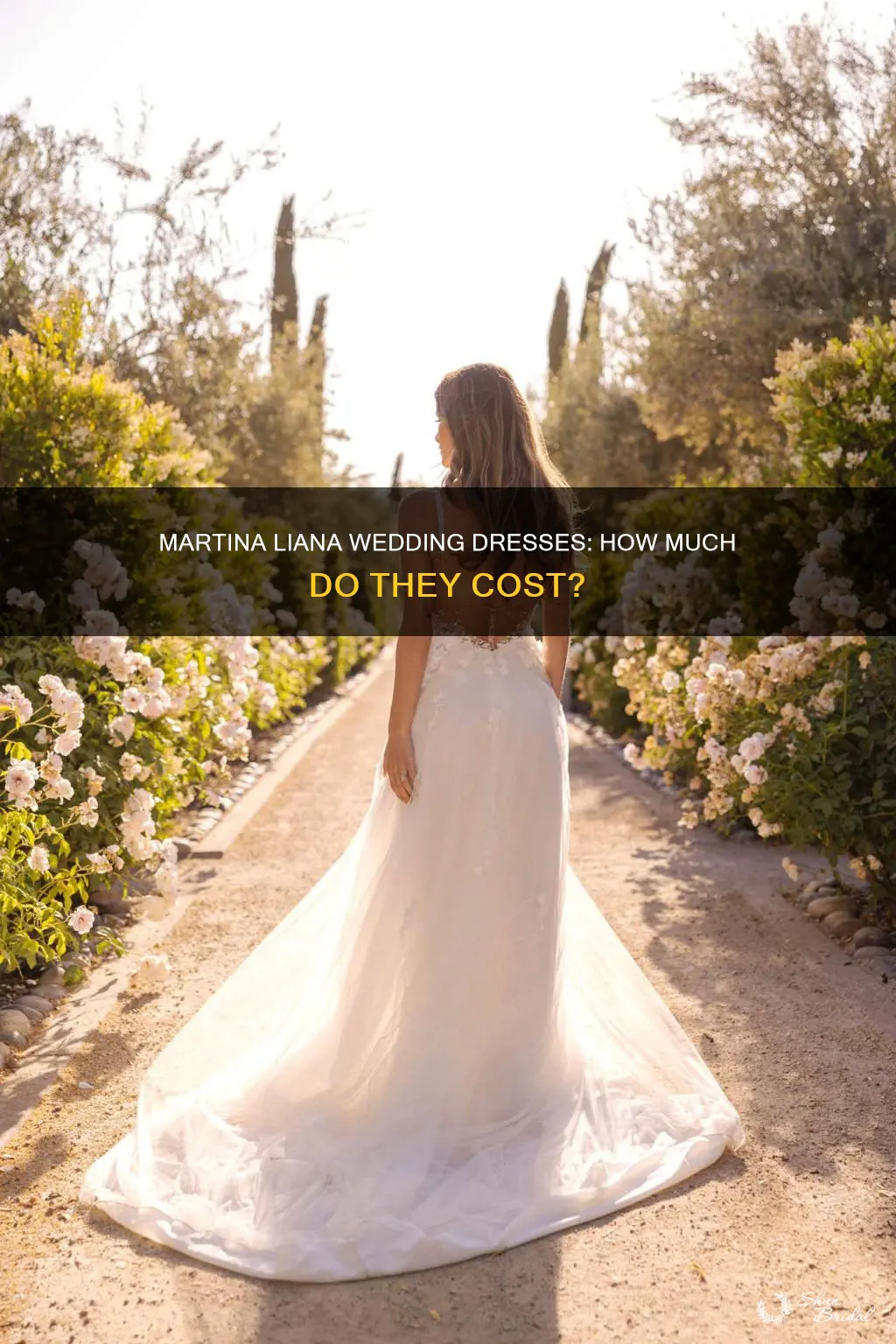 how much is a martina liana wedding dress