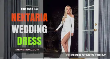 Nektaria Wedding Dresses: Price and Style Guide