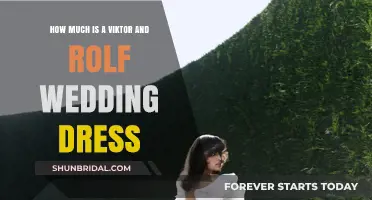 Viktor&Rolf Wedding Dresses: How Much Do They Cost?