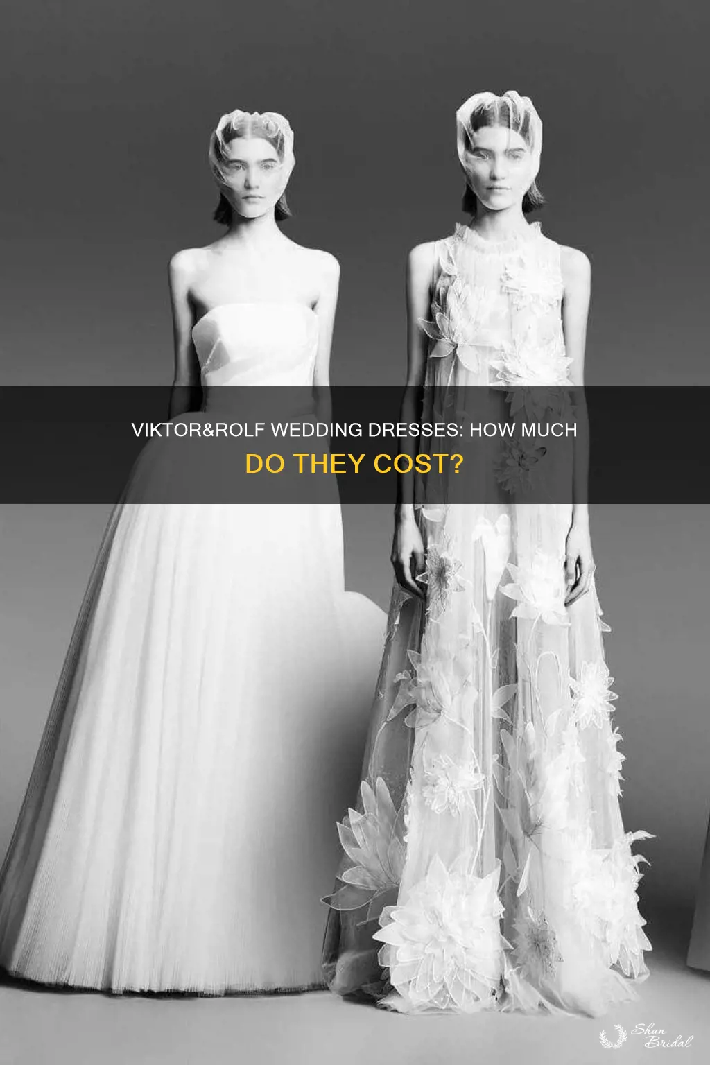 how much is a viktor and rolf wedding dress