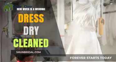 Wedding Dress Dry Cleaning: What's the Cost?