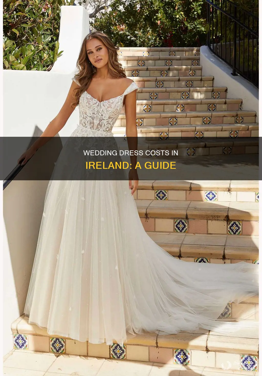 how much is a wedding dress in ireland