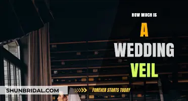 Wedding Veil Costs: Budgeting for the Perfect Bridal Accessory