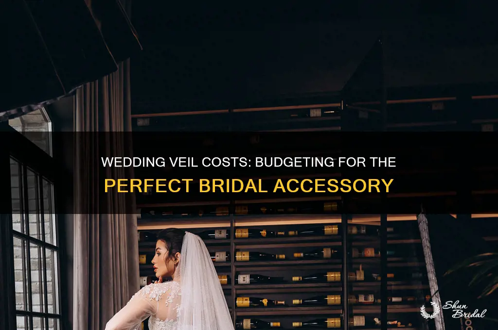 how much is a wedding veil