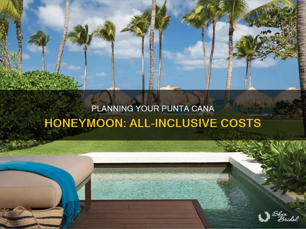 how much is all inclusive trip to punta cana honeymoon
