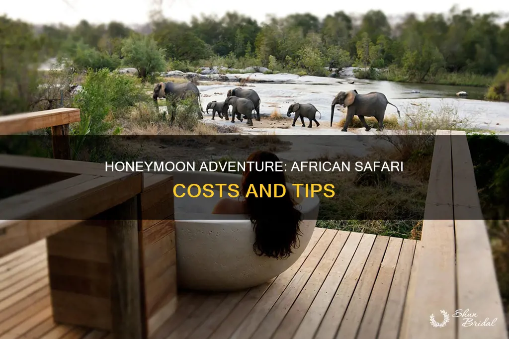 how much is an african safari honeymoon