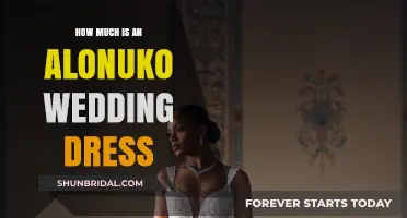 Alonuko Wedding Dresses: How Much Do They Cost?