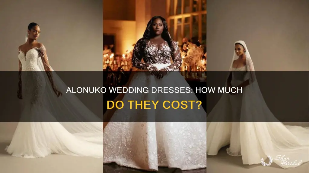 how much is an alonuko wedding dress