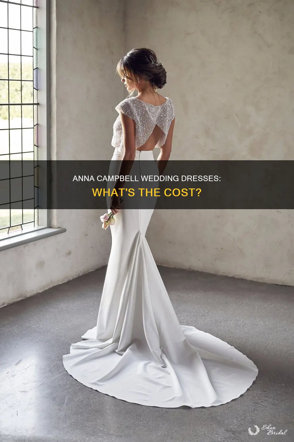 how much is an anna campbell wedding dress