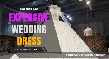Costly Wedding Dresses: How Much Do They Cost?