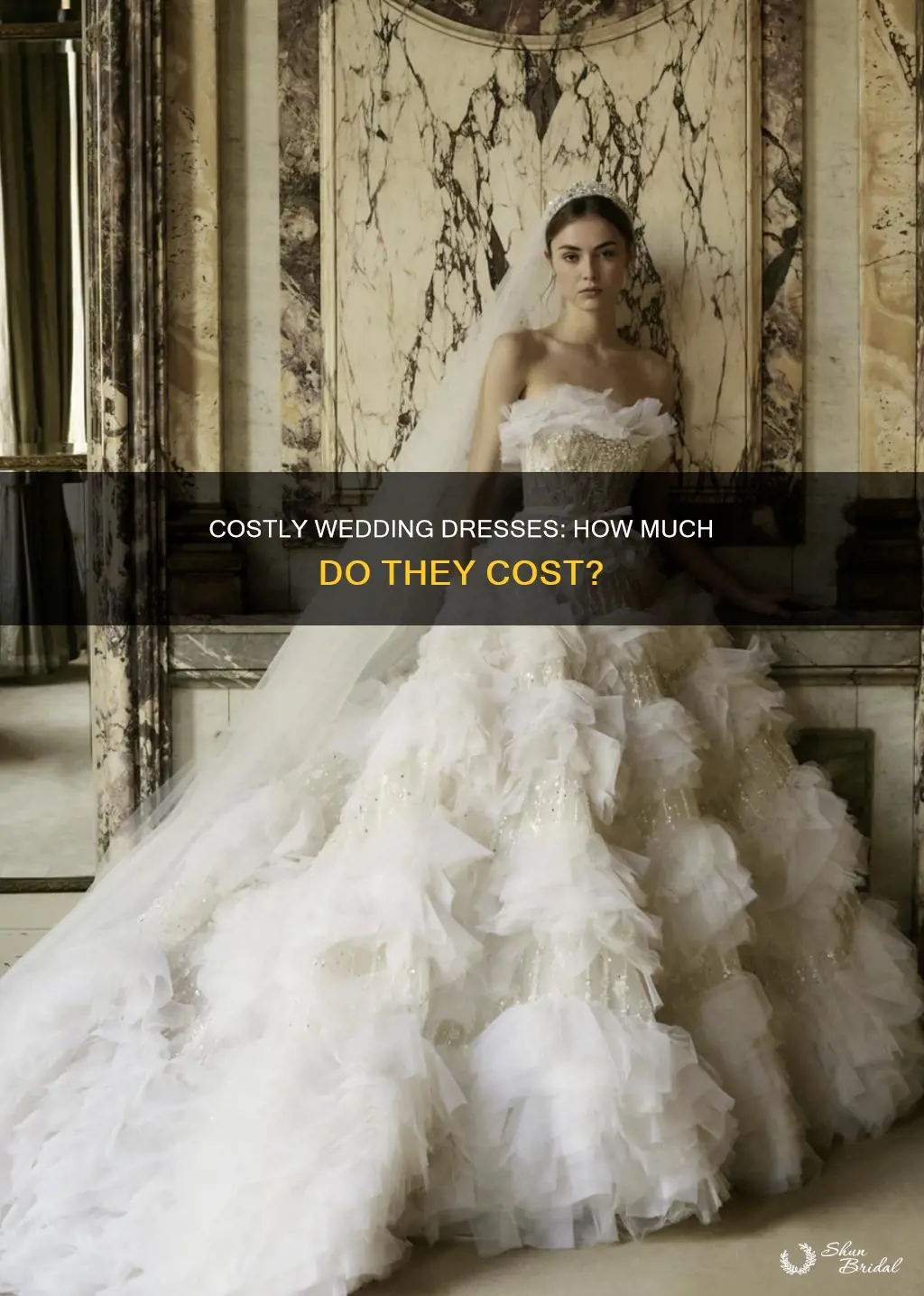 how much is an expensive wedding dress