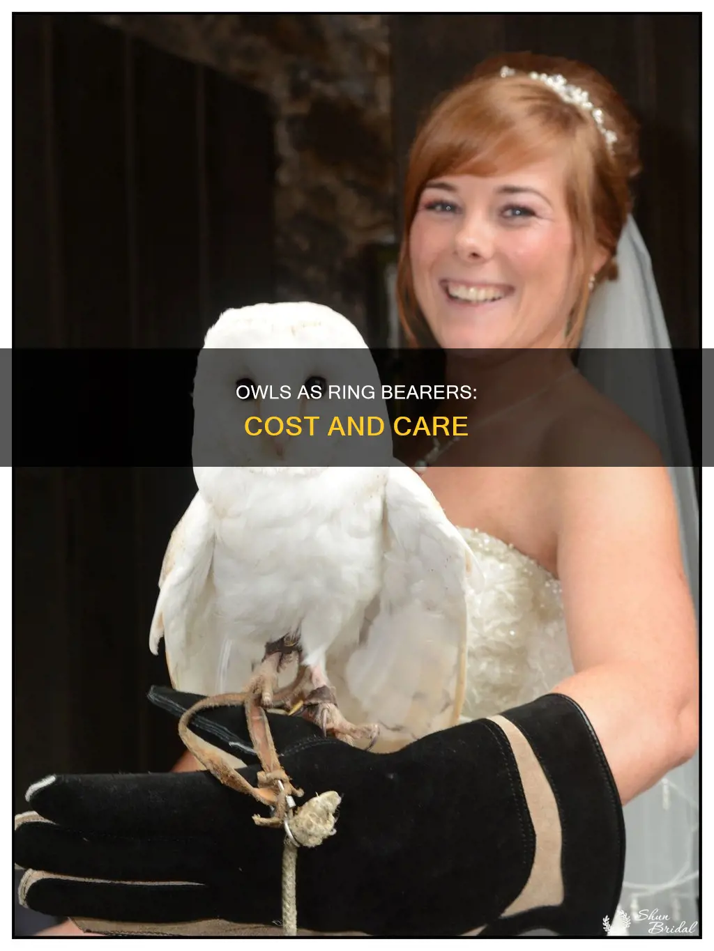 how much is an owl ring bearer