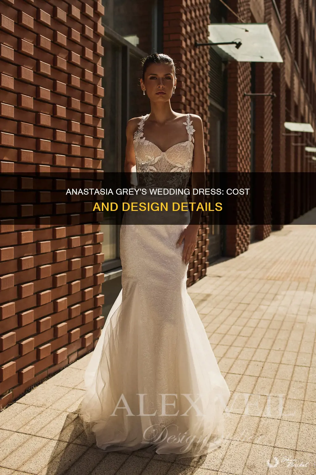 how much is anastasia greys wedding dress
