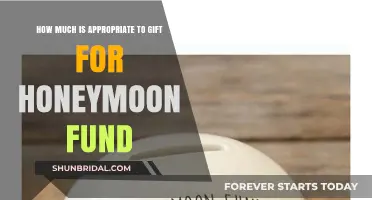 Thoughtful Honeymoon Fund Gifting: How Much is Appropriate?
