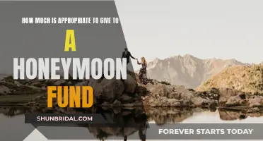Honeymoon Fund Gifts: How Much is Too Much?