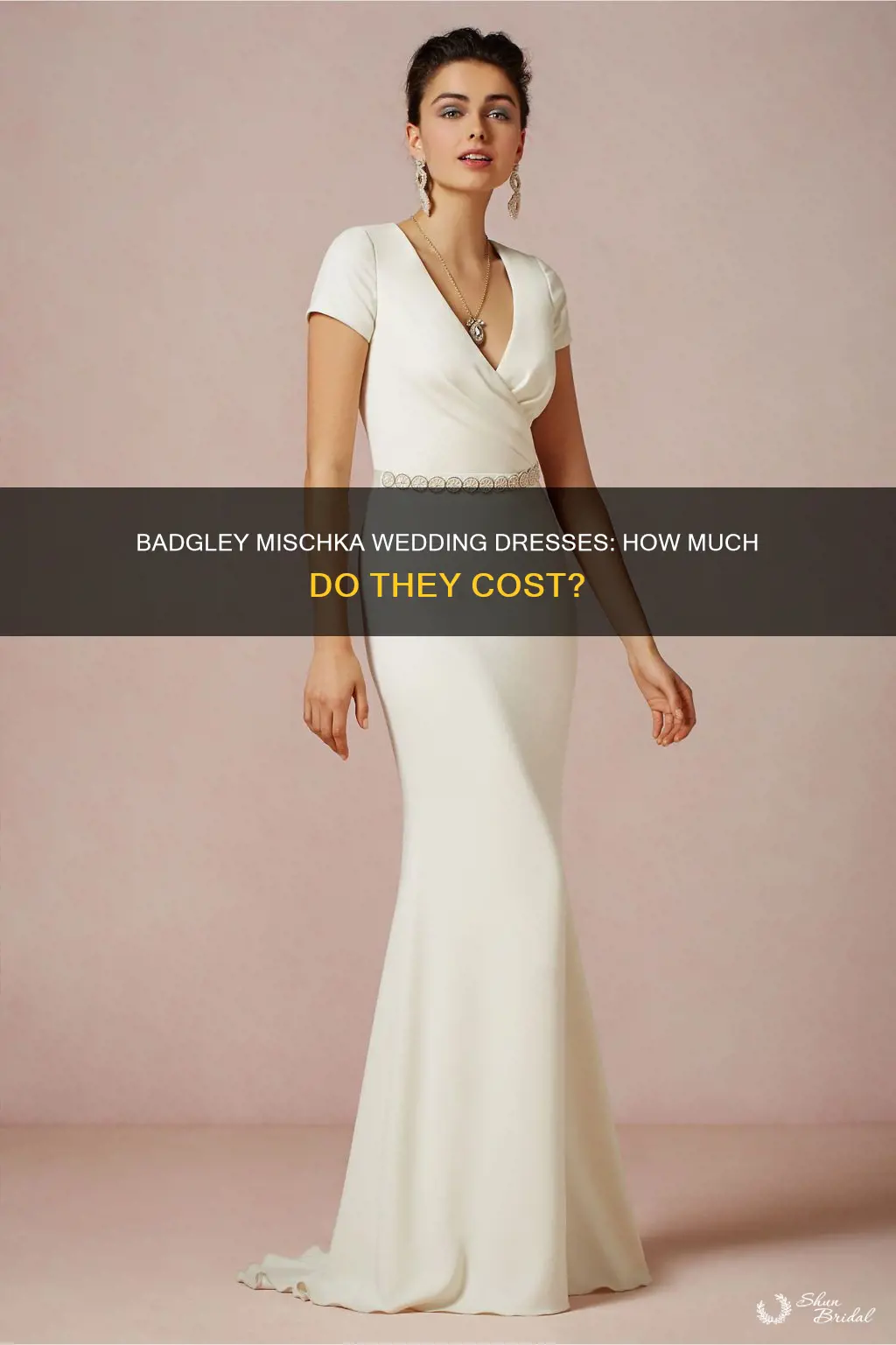 how much is badgley mischka wedding dress
