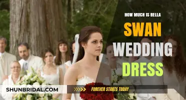Bella Swan's Wedding Dress: The Cost to Shine