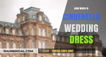 Cinderella Wedding Dresses: How Much Do They Cost?