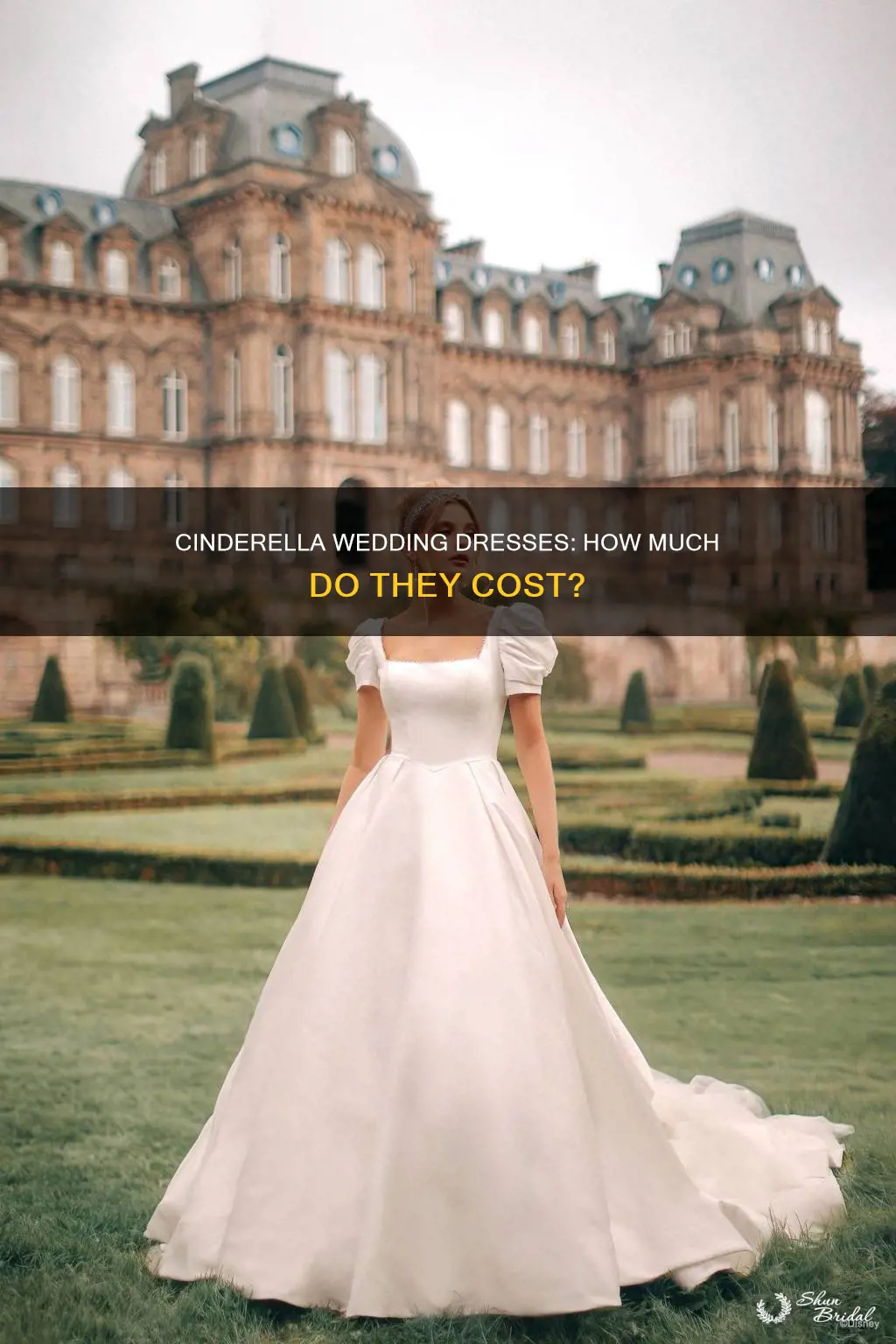 how much is cinderella wedding dress