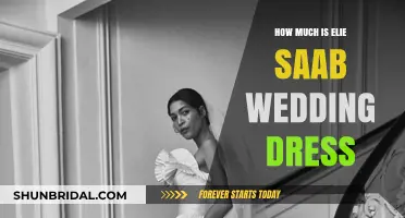 Elie Saab Wedding Dresses: How Much Do They Cost?