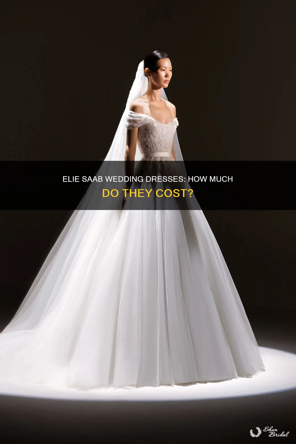 how much is elie saab wedding dress
