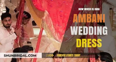 The Extravagant Cost of Isha Ambani's Wedding Dress