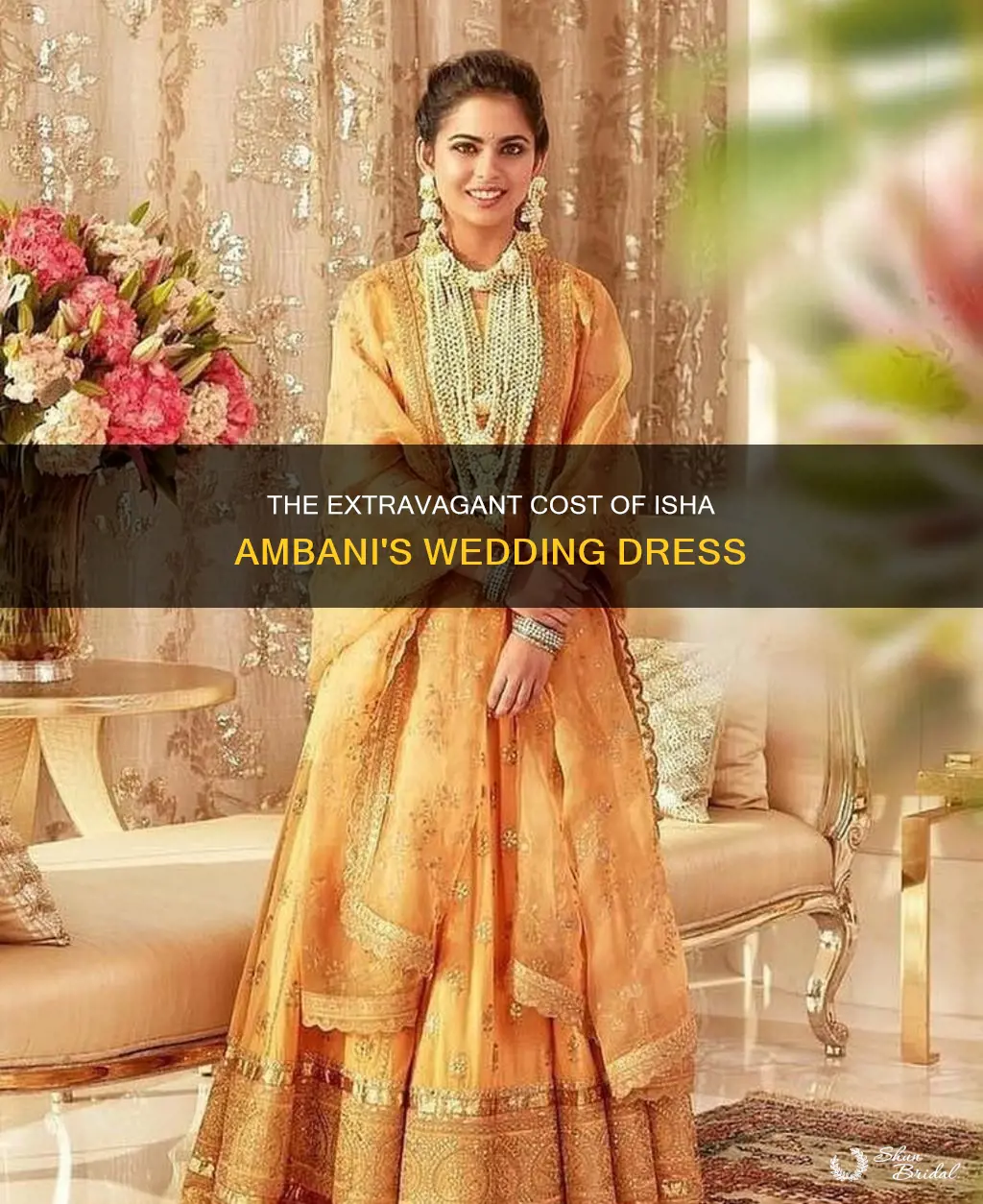how much is isha ambani wedding dress