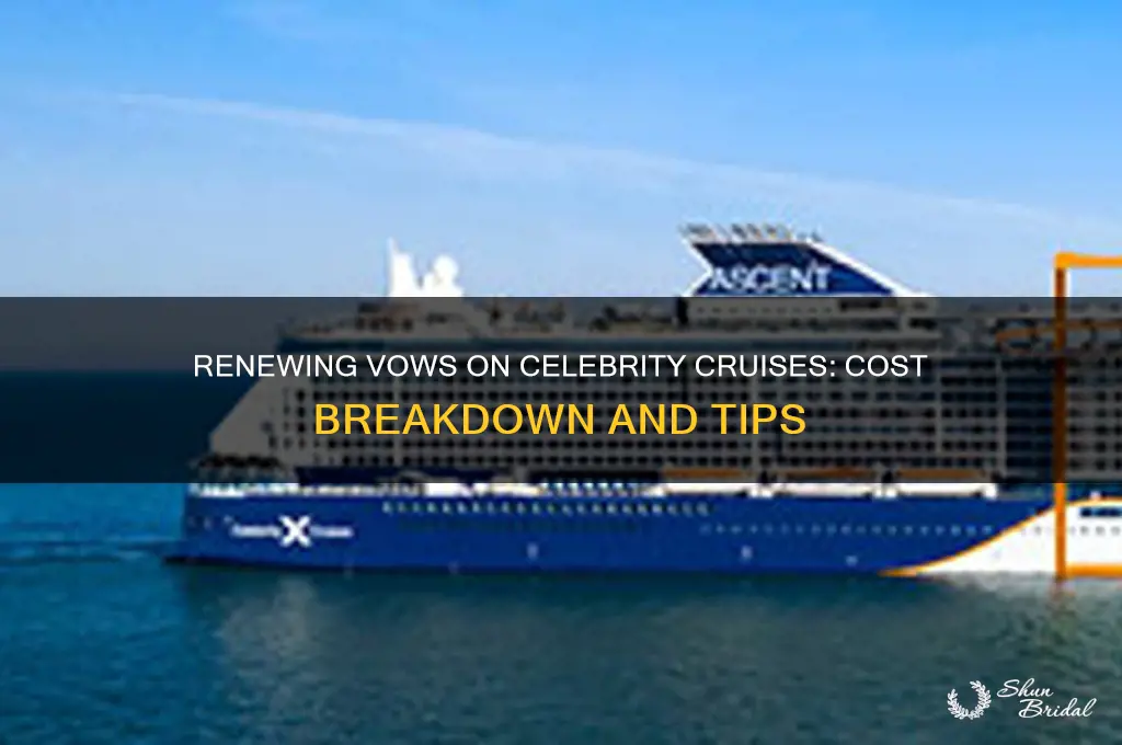 how much is it to renew vows on celebrity