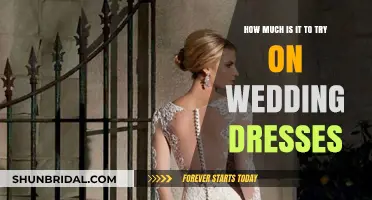 Exploring the Cost of Trying on Wedding Dresses