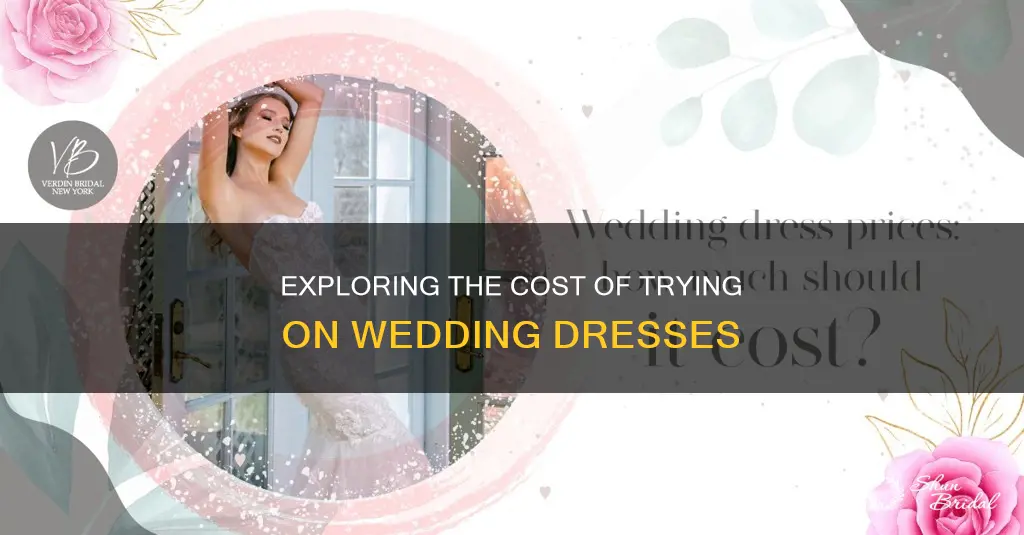 how much is it to try on wedding dresses