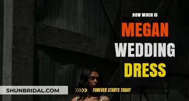 Megan's Wedding Dress: Cost and Design Details