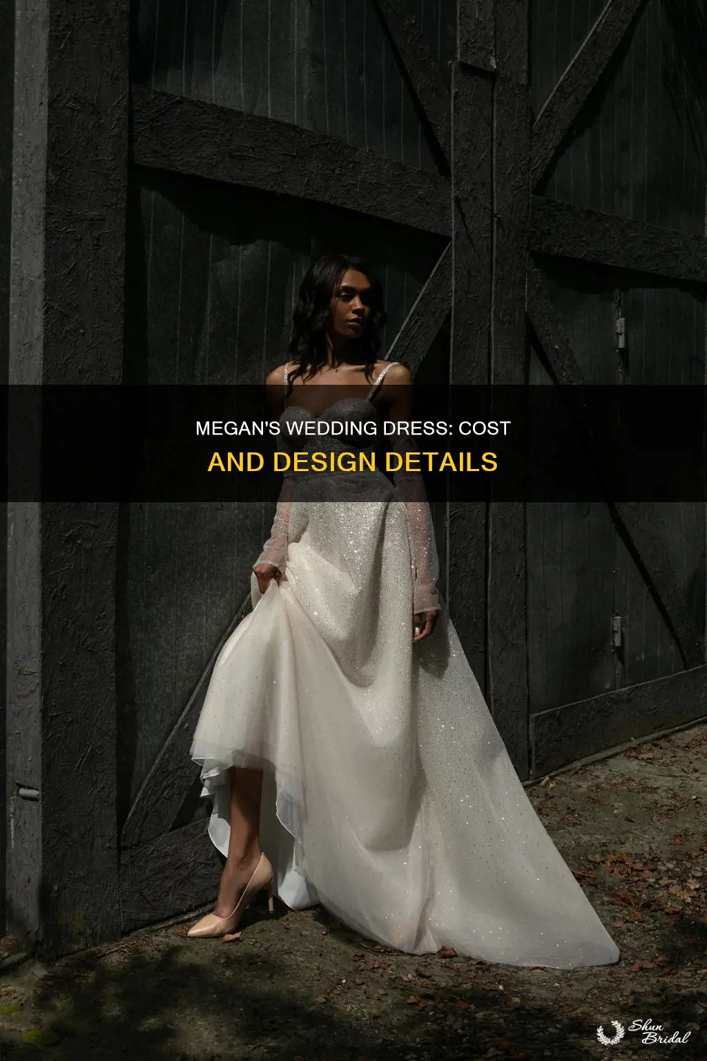 how much is megan wedding dress