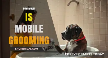 Pampering Your Pet on the Go: The Cost of Mobile Grooming Services