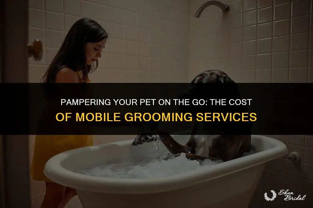 how much is mobile grooming