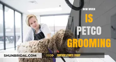 Petco Grooming Prices: A Comprehensive Guide for Pet Owners