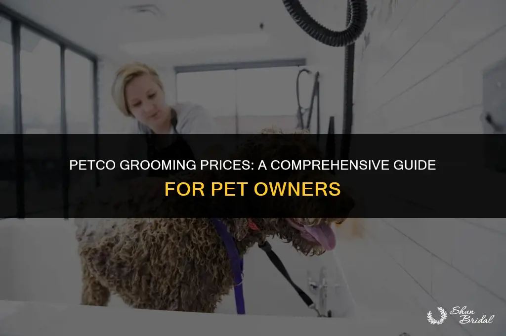 how much is petco grooming