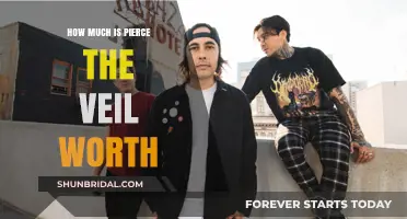 Pierce the Veil's Net Worth: Unveiling the Band's Financial Success