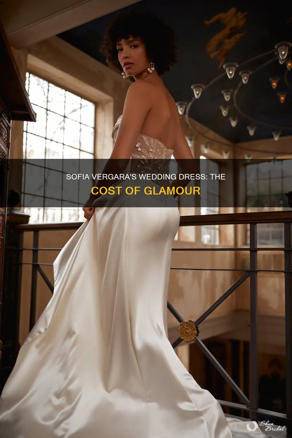 how much is sofia vergara wedding dress
