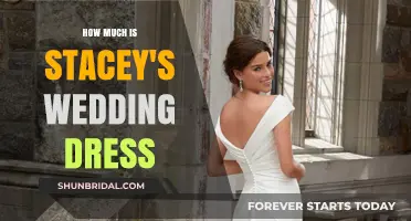 Stacey's Wedding Dress: The Cost and Style Secrets