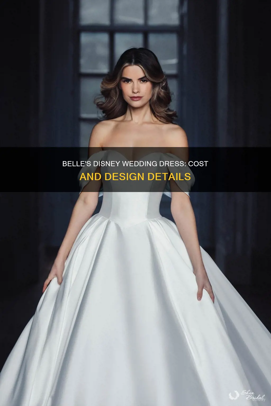 how much is the belle disney wedding dress