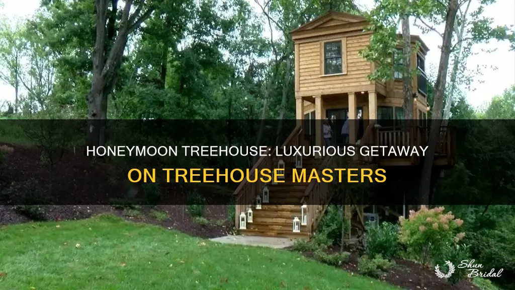how much is the honeymoon treehouse on treehouse masters