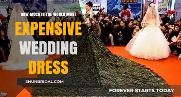 The Most Expensive Wedding Dress: A Multi-Million Dollar Gown