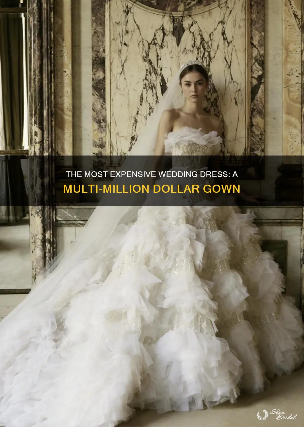 how much is the world most expensive wedding dress