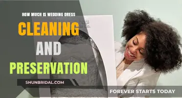 Wedding Dress Cleaning and Preservation: Cost and Care
