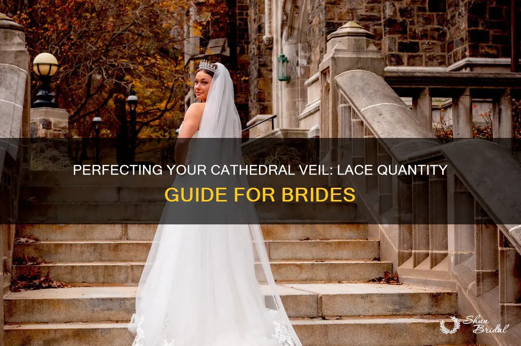 how much lace for a cathedral veil