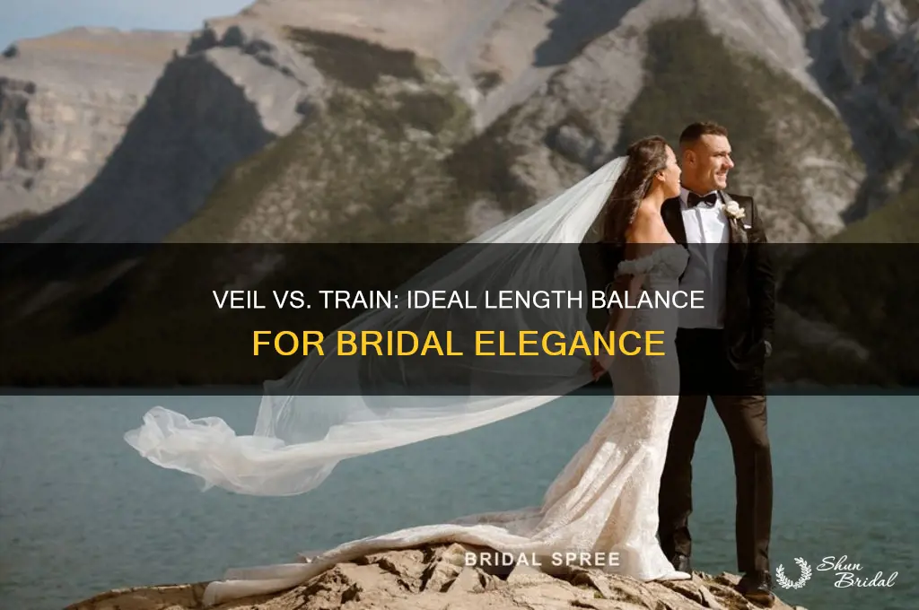 how much longer should veil be than train